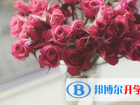 2021年大理中考成績(jī)?cè)趺此? /><b>2021年大理中考成績(jī)?cè)趺此?/b><span>2020-11-03 14:43</span><p>但是每一科的每一分對(duì)于同學(xué)們來(lái)說(shuō)都是至關(guān)重要的，現(xiàn)在同學(xué)們可能還感受不到，等到大家將來(lái)參加高考以后大家就知道，一分之差中</p></a></h3></li>
<li><h3><a href=
