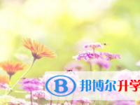 2021年宜賓中考查詢(xún)成績(jī)網(wǎng)址