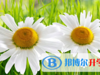 2021年宜賓中考成績(jī)查詢(xún)