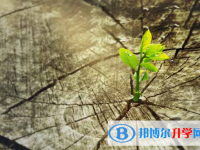 2021年資陽(yáng)中考報(bào)名平臺(tái)