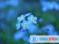 2021年資陽(yáng)中考報(bào)名系統(tǒng)