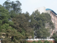四川省樂(lè)山市草堂高級(jí)中學(xué)2023年招生錄取分?jǐn)?shù)線