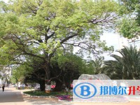 通?？h第三中學(xué)2021年招生簡章