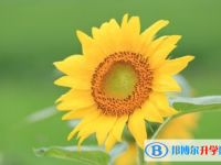 重慶中考志愿填報(bào)