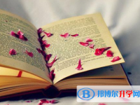 重慶中考報(bào)名志愿