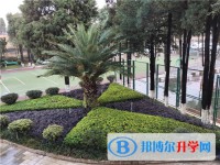 昆明市金殿中學(xué)2025年招生代碼