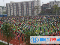 四川省南江縣長(zhǎng)赤中學(xué)2025年招生簡(jiǎn)章
