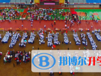 四川省閬中中學(xué)校2025年招生計劃