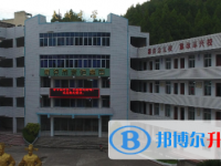 南部縣大橋鎮(zhèn)中學(xué)2025年招生計劃