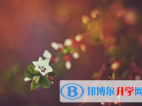 承德2021年中考成績什么時(shí)候公布