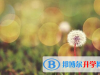 承德2021年中考錄取查詢?nèi)肟? /><b>承德2021年中考錄取查詢?nèi)肟?/b><span>2021-04-13 14:54</span><p>所有中考的高中錄取結(jié)果都是根據(jù)同學(xué)們的中考成績與中考志愿來錄取的，但是每一所高中院校都會有自己的錄取標(biāo)準(zhǔn)，同學(xué)們在填報志</p></a></h3></li>
<li><h3><a href=