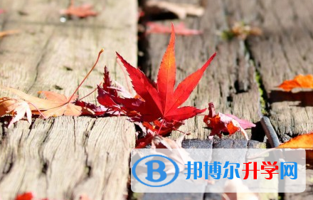 成都2021年中考預(yù)估重點(diǎn)線