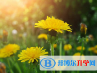 內(nèi)江2022年中考重點線預測