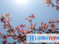 樂(lè)山2022年如何查詢中考錄取結(jié)果