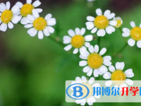 樂(lè)山2022年中考錄取查詢