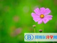 樂(lè)山2022年中考錄取名單查詢