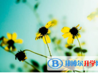 樂(lè)山2022年中考后如何錄取