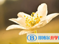 樂(lè)山2022年中考錄取