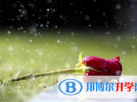 眉山2022年中考報(bào)名網(wǎng)址