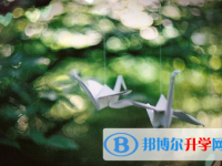 宜賓2022年中考報(bào)名查詢