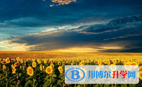 達(dá)州2022年中考網(wǎng)絡(luò)應(yīng)用服務(wù)平臺(tái)登錄