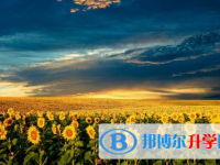 達州2022年中考網(wǎng)絡(luò)應(yīng)用服務(wù)平臺登錄