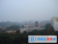 四川省蓬溪縣蓬南中學(xué)2025年學(xué)費(fèi)、收費(fèi)多少
