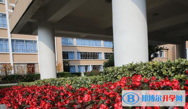向明中學2023年招生錄取分數(shù)線 