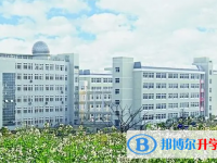 2025巴中市中考語文滿分是多少？