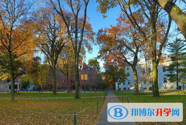 2023晉城市中考語(yǔ)文滿分是多少？