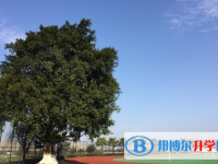 溫州市第五十一中學(xué)2025年排名