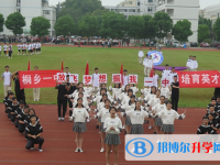 浙江省桐鄉(xiāng)第一中學(xué)2025年招生辦聯(lián)系電話