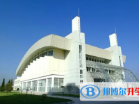 平湖市當(dāng)湖高級中學(xué)2023年招生錄取分?jǐn)?shù)線