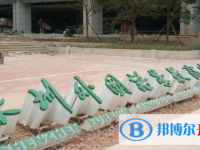 深圳市外國(guó)語(yǔ)學(xué)校歷年招生分?jǐn)?shù)線一覽表(2025參考)