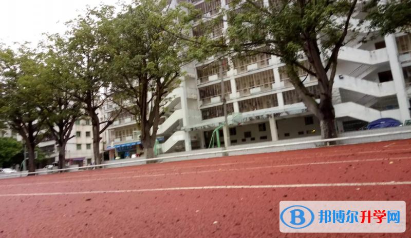 2023電白縣電海中學(xué)招生計劃 招生人數(shù)是多少(附要求、條件、對象)