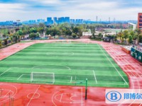 2025實外五龍山校區(qū)招生計劃 招生人數(shù)是多少(附要求、條件、對象)