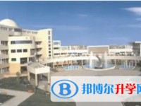 2025大彎中學(xué)招生計劃 招生人數(shù)是多少(附要求、條件、對象)
