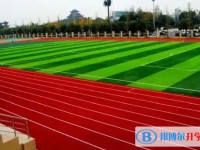 大彎中學地址，乘車路線