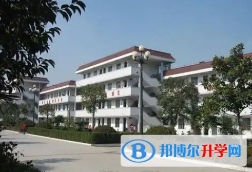2025青白江區(qū)為明學校招生計劃 招生人數(shù)是多少(附要求、條件、對象)