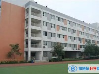 2025石橋中學(xué)招生計劃 招生人數(shù)是多少(附要求、條件、對象)