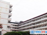 2025三星中學(xué)招生計劃 招生人數(shù)是多少(附要求、條件、對象)