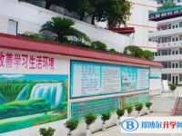三星中學(xué)怎么樣、好不好