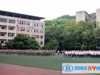2025簡陽實驗中學(xué)招生計劃 招生人數(shù)是多少(附要求、條件、對象)