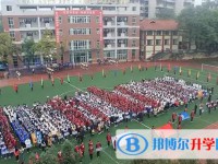 2025自貢六中招生計(jì)劃 招生人數(shù)是多少(附要求、條件、對(duì)象)