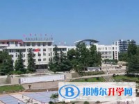 2025四川省榮縣中學(xué)招生計(jì)劃 招生人數(shù)是多少(附要求、條件、對(duì)象)
