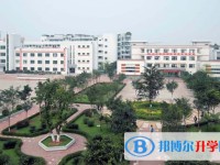 2025四川省富順縣趙化中學(xué)校招生計(jì)劃 招生人數(shù)是多少(附要求、條件、對(duì)象)