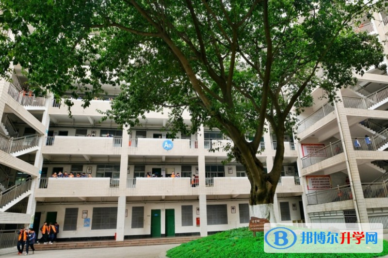 四川省綿陽普明中學怎么樣、好不好