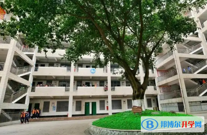 綿陽(yáng)普明中學(xué)招生簡(jiǎn)章2025年