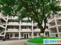 綿陽普明中學(xué)招生簡章2025年