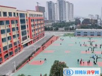 2025綿陽普明中學(xué)招生計(jì)劃 招生人數(shù)是多少(附要求、條件、對(duì)象)